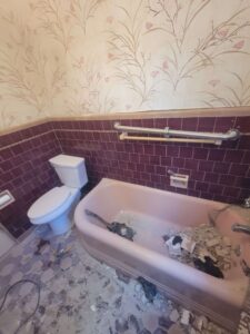 The original mid-century bathtub right at the beginning of the demo process