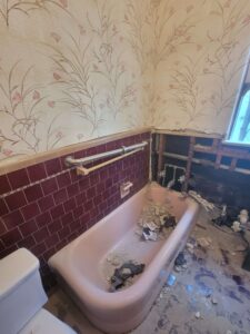 The original mid-century bathtub right at the beginning of the demo process
