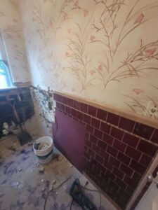 The bathroom right at the beginning of the demo process